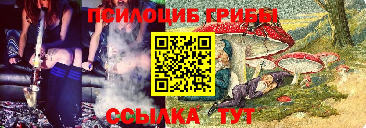 Арзамас  Псилоцибиновые грибы Magic Shrooms  Вход с VPN 